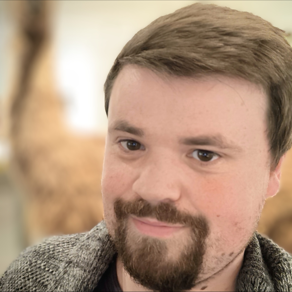 Sacha Nedeljkovic – BI Consultant